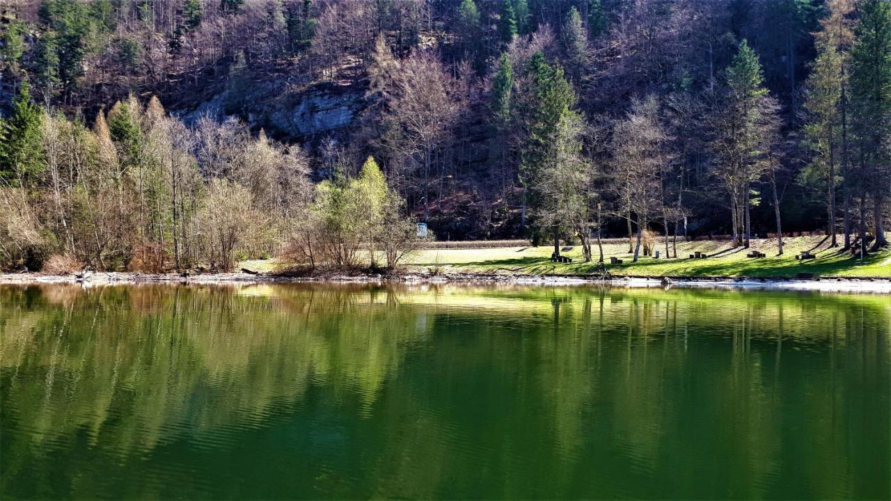Haus Bellevue Διαμέρισμα Όμπερτραουν Εξωτερικό φωτογραφία